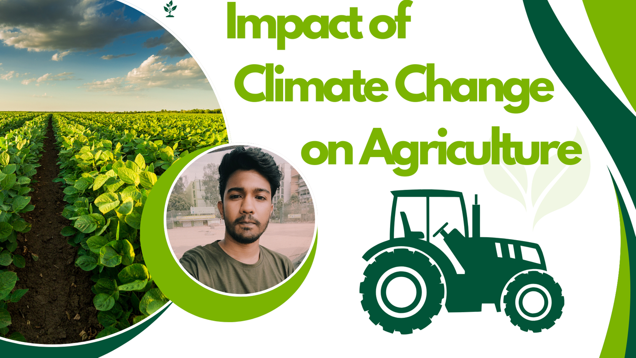 Impact of Climate Change on Agriculture.png