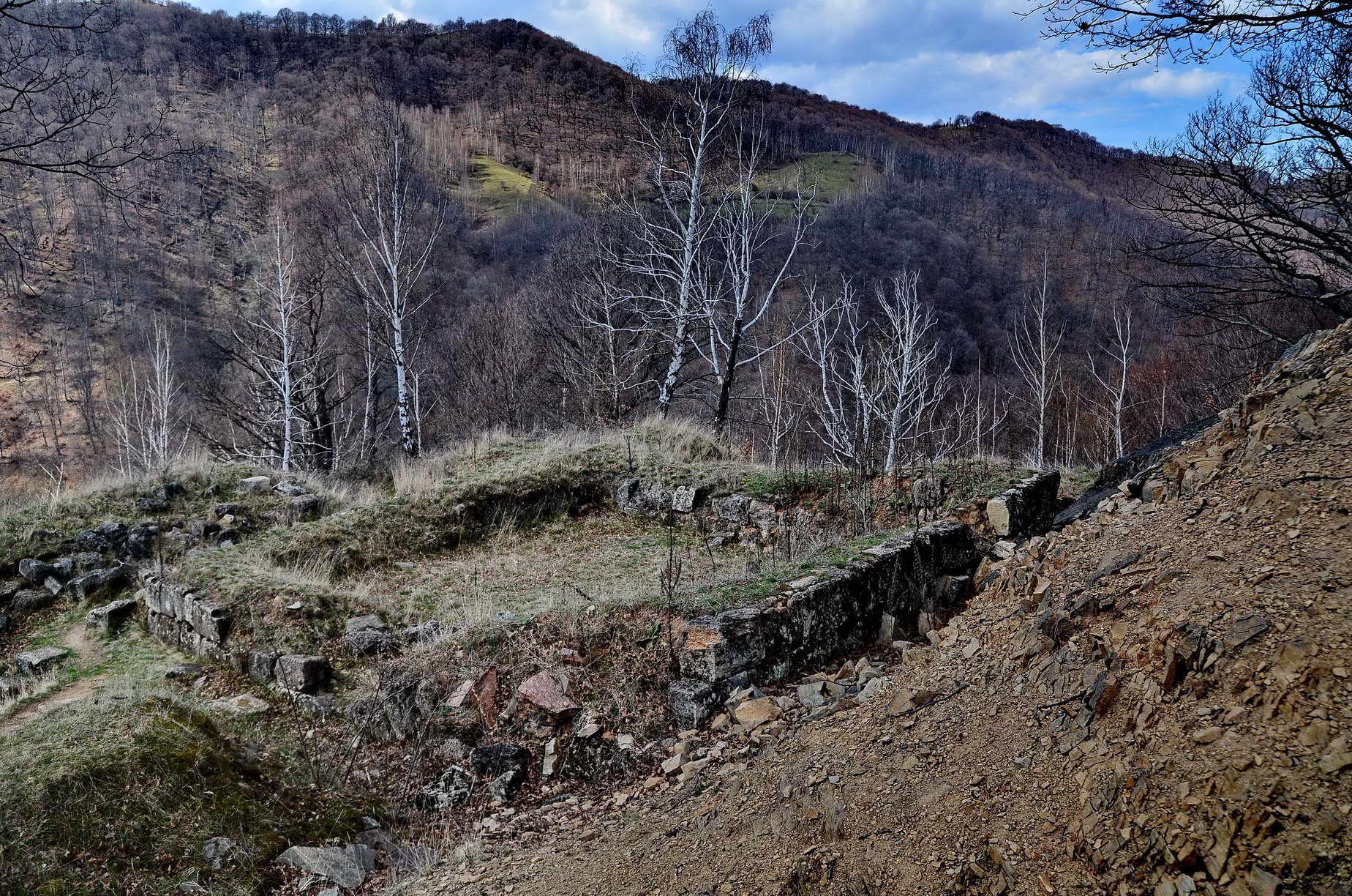 Capalna-Turn-locuinta.jpg