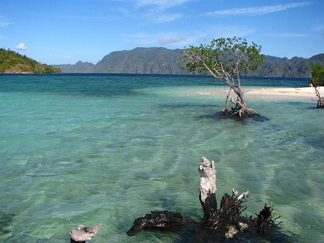 coron8.jpg