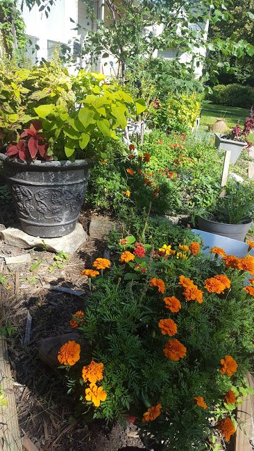 20180910_105947.jpg