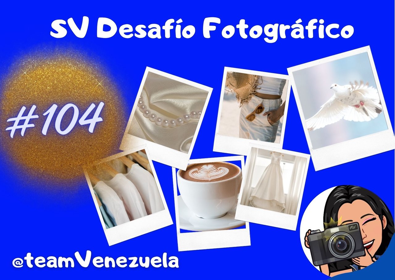 SV diseño _20240128_082734_0000.jpg