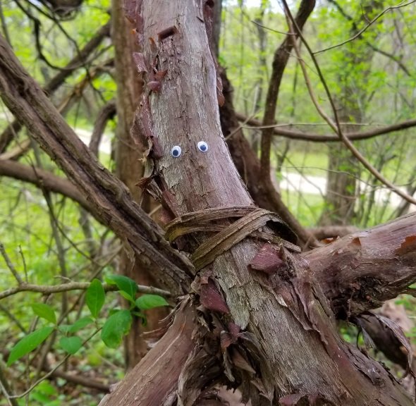 20180505_144711.jpg