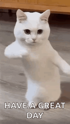 CoolFunGIF.gif