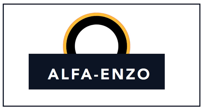 Hasil gambar untuk alfa enzo logo
