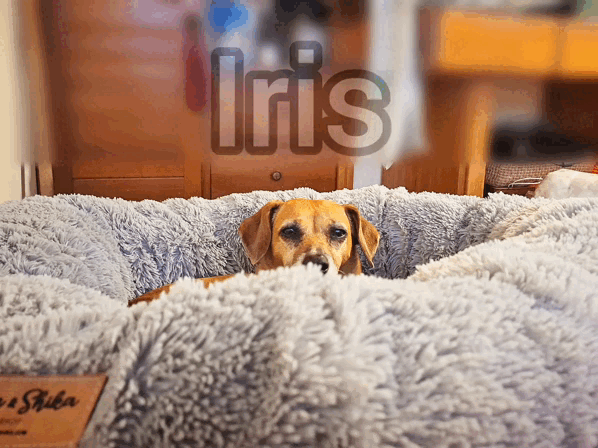 1000027552.gif