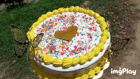 1000054137.gif