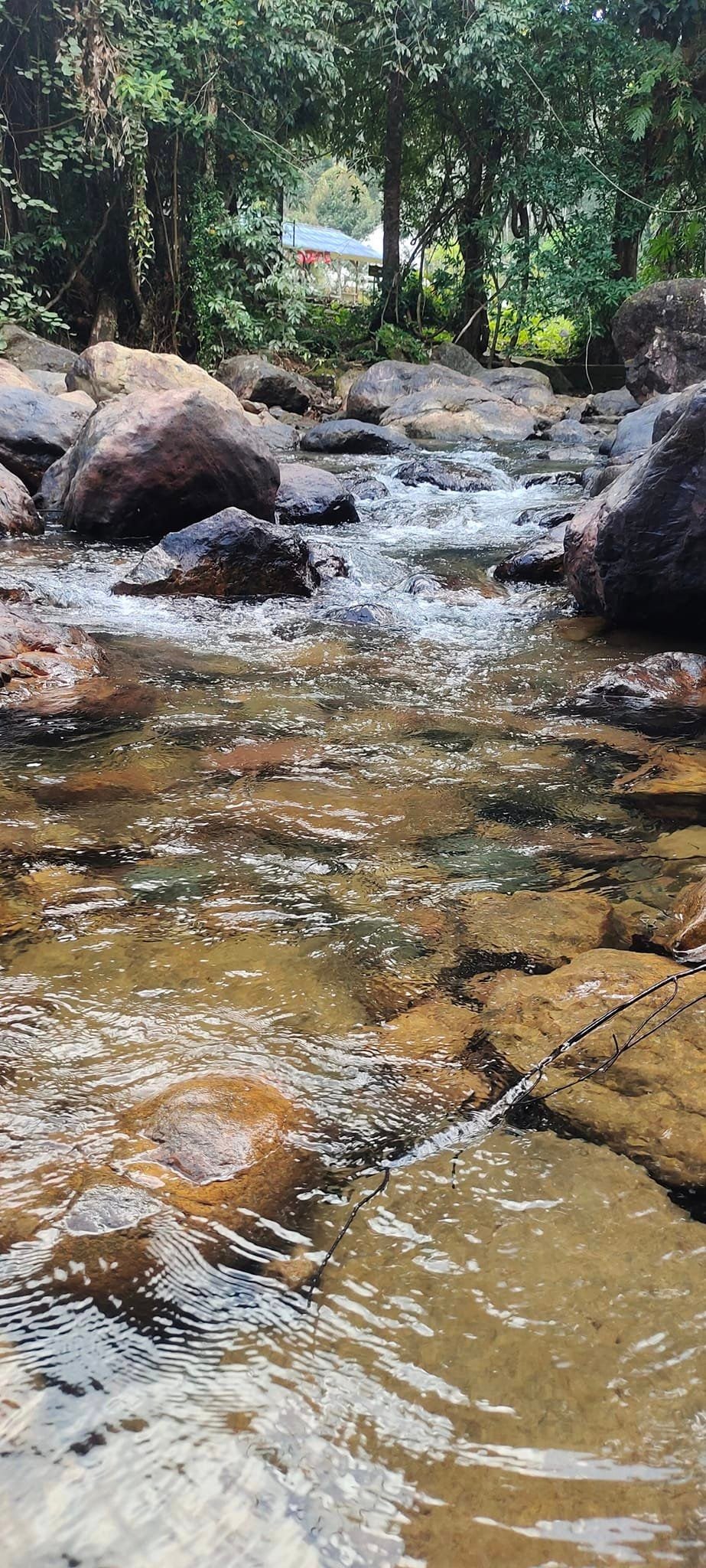 Tarn Mayom Waterfall11.jpg