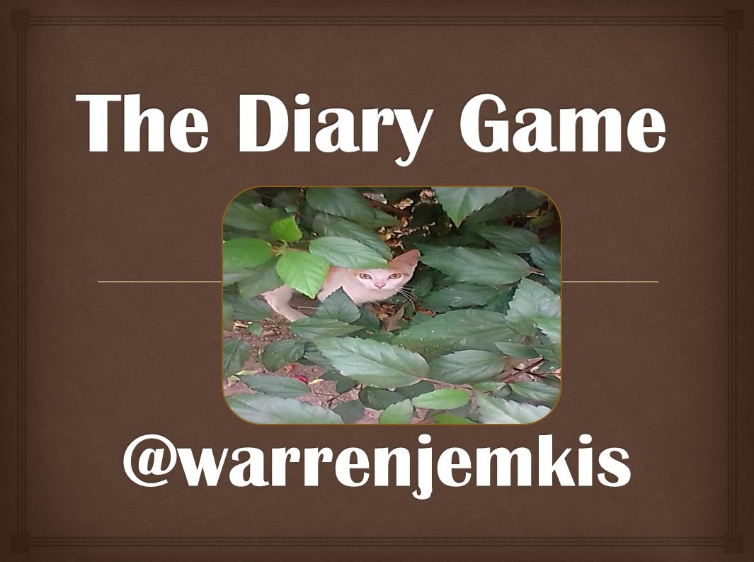 the Diary Game Gato.jpg