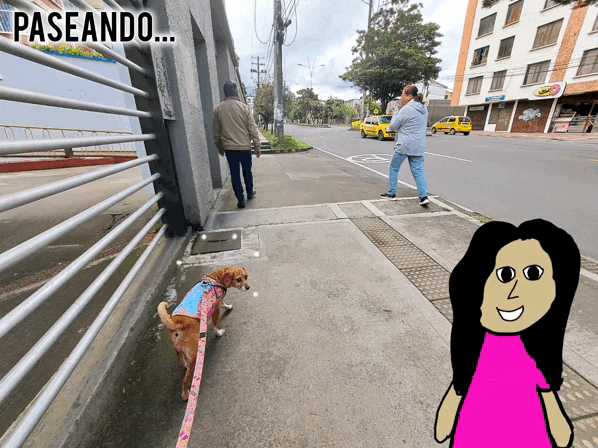 1000030465.gif