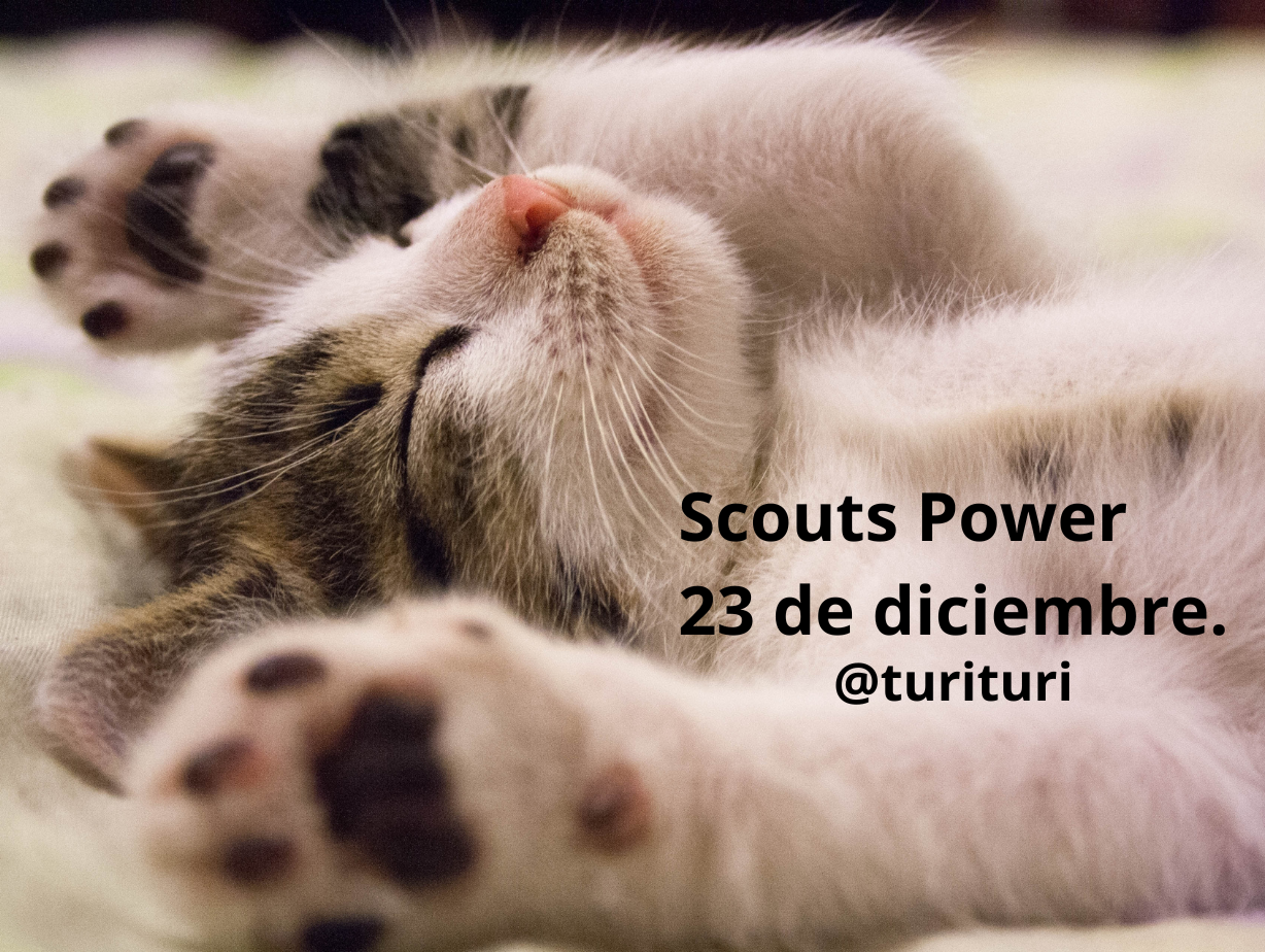 Scouts Power 23 de diciembre..png