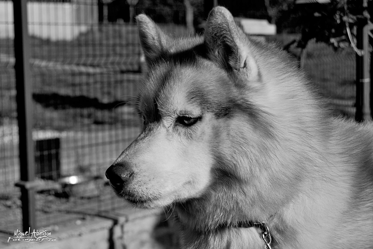 DSC_0049 2.jpg