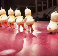 6a5e-ireifzh0684714.gif