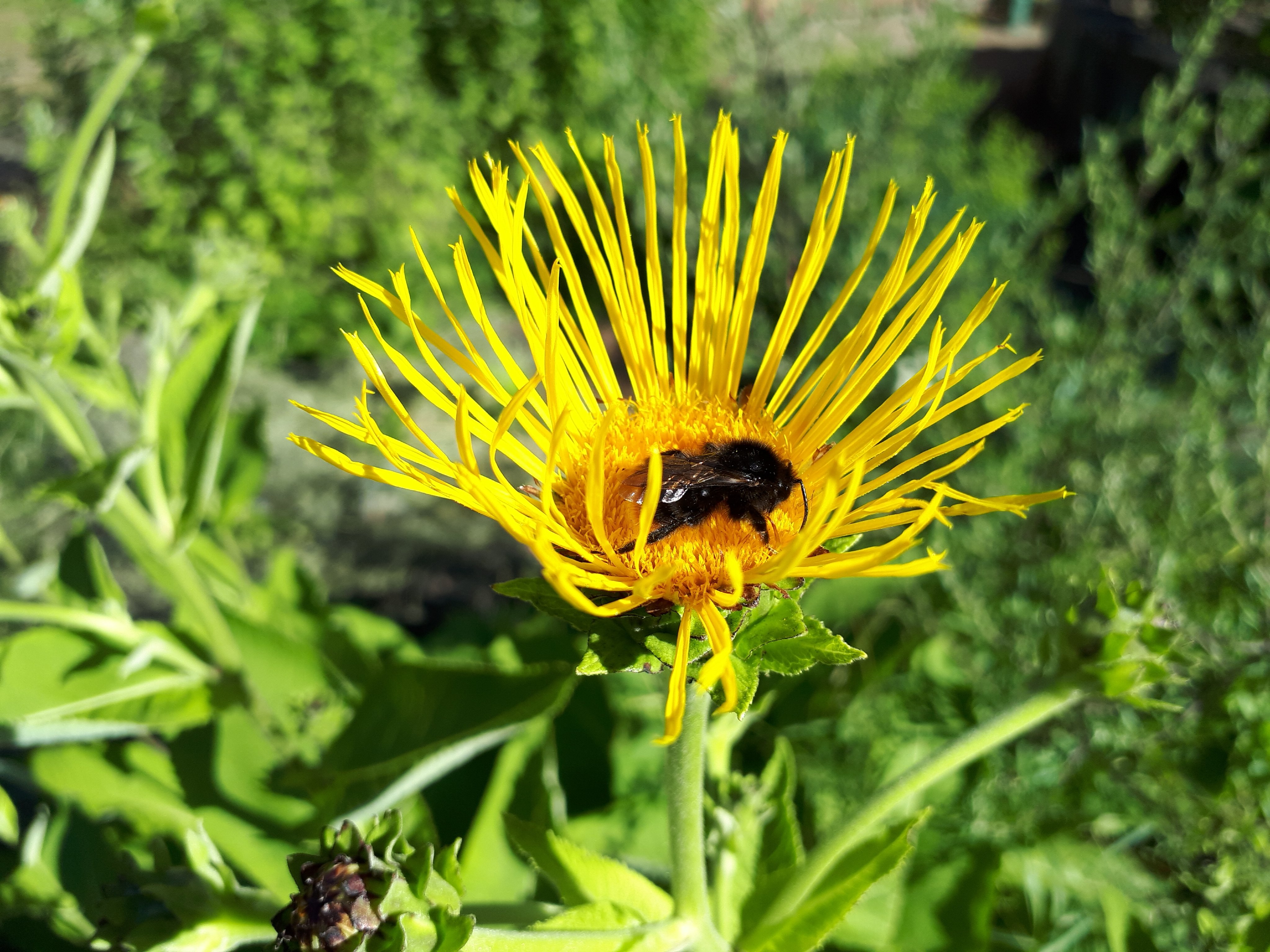 20180725_230104.jpg