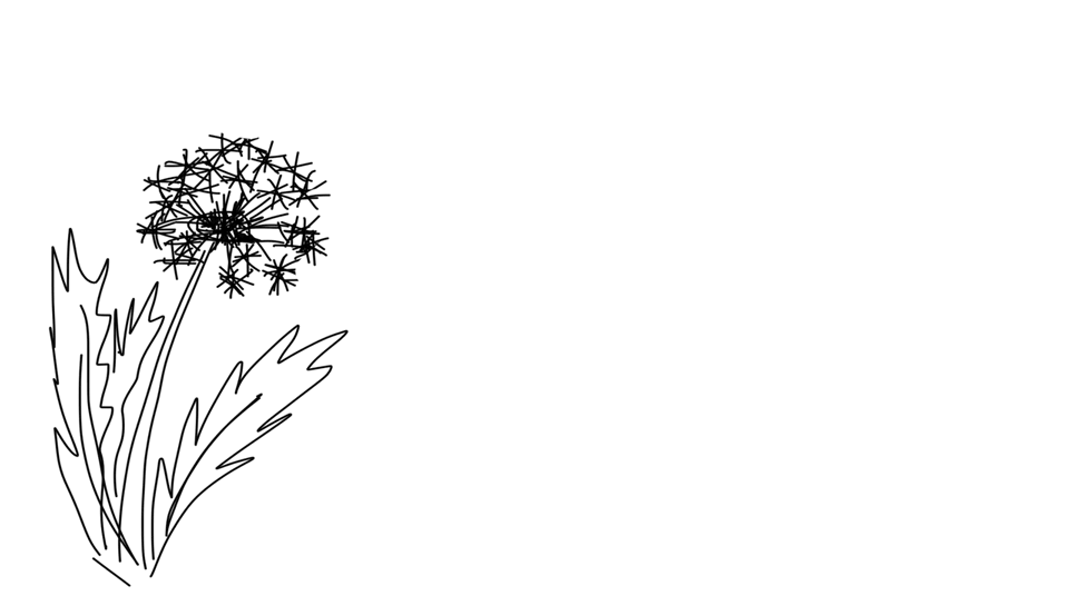 Steemit2.gif