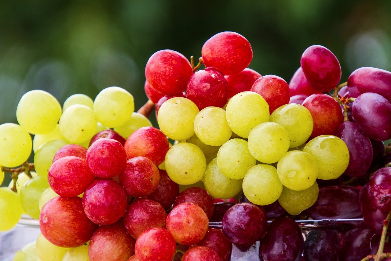 grapes-5889697_1280.jpg