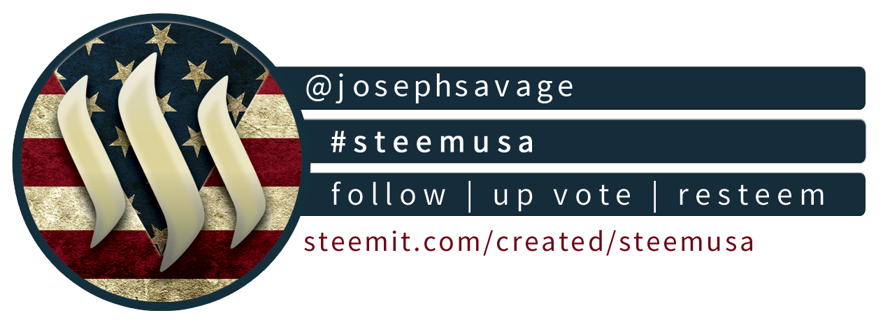 Steem USA Compact Banner