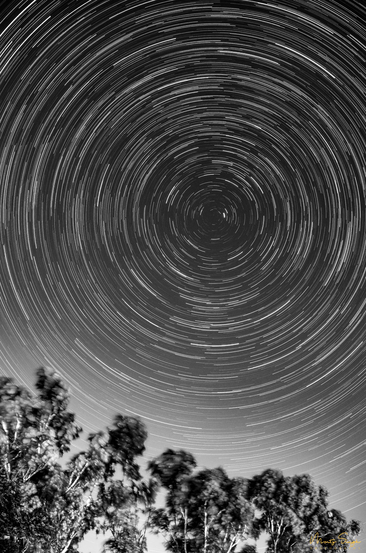 Star Trails.jpg