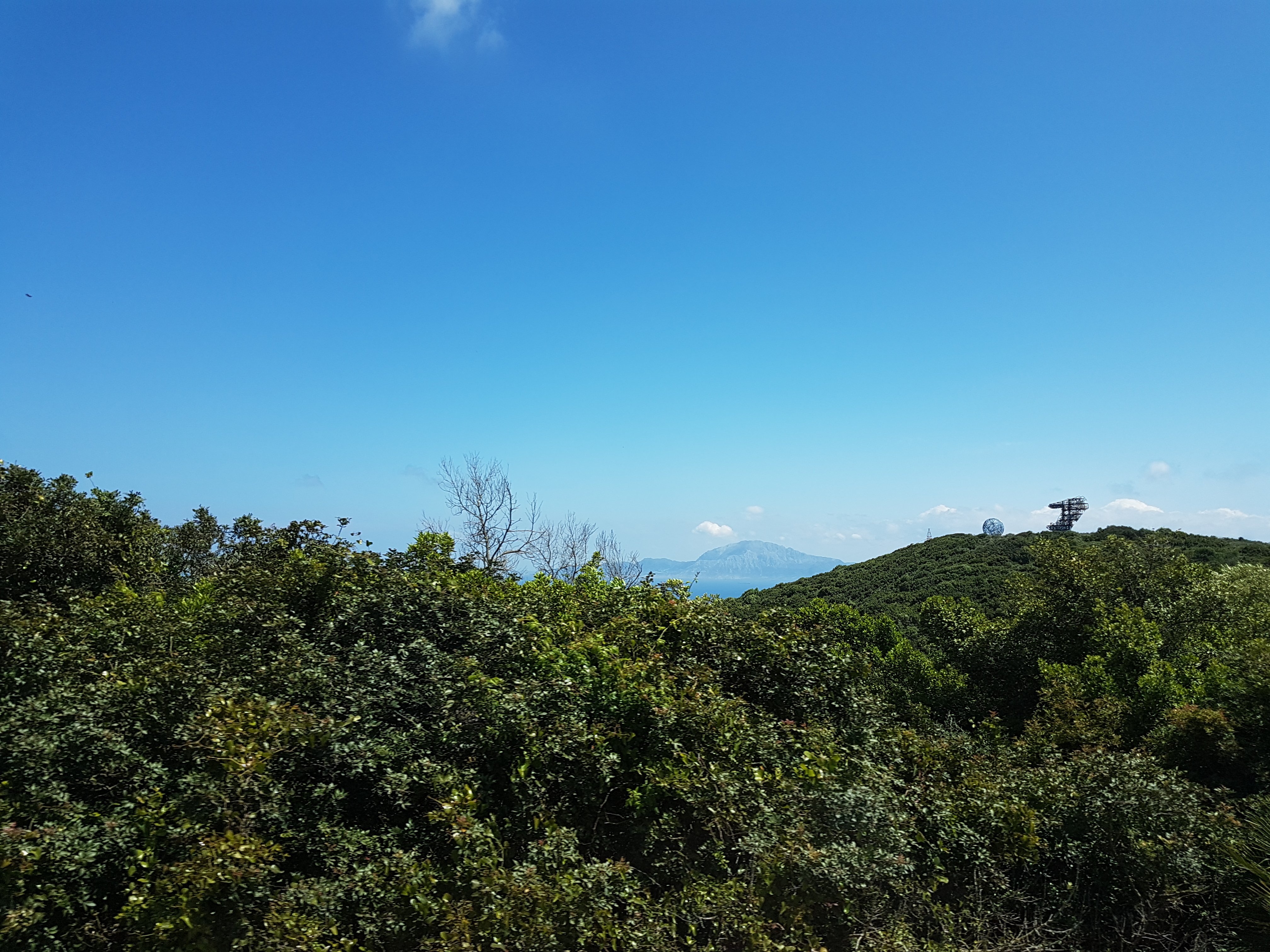 20180527_161501.jpg
