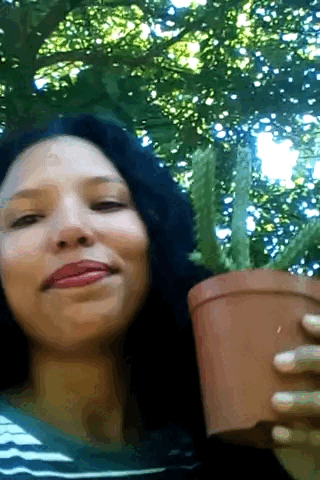 VID_20231013_085914.gif