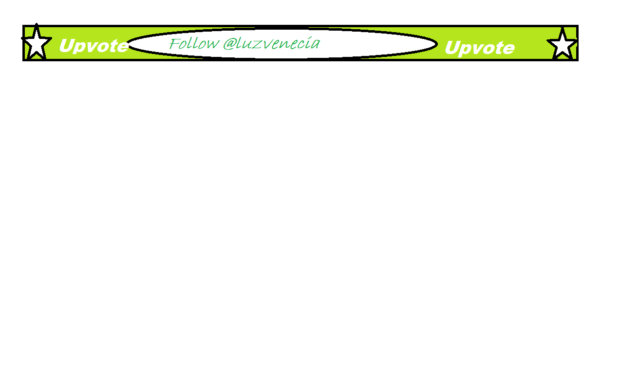 separador luzvenecia.png