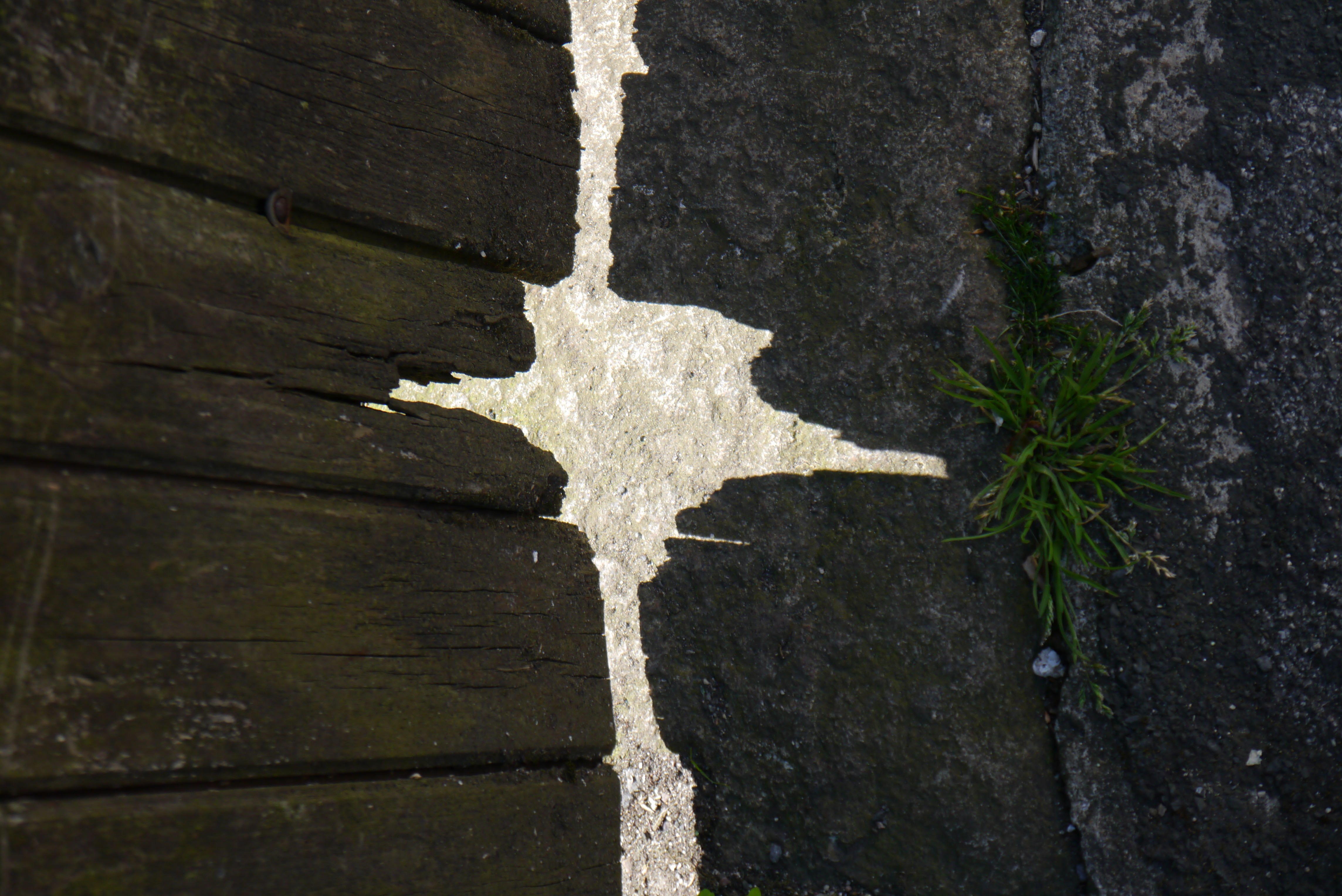 P1000267.jpg