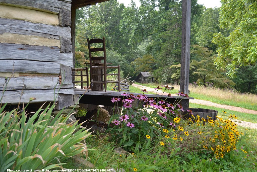 RuralPorchRoadAndFlowers-081218.jpg