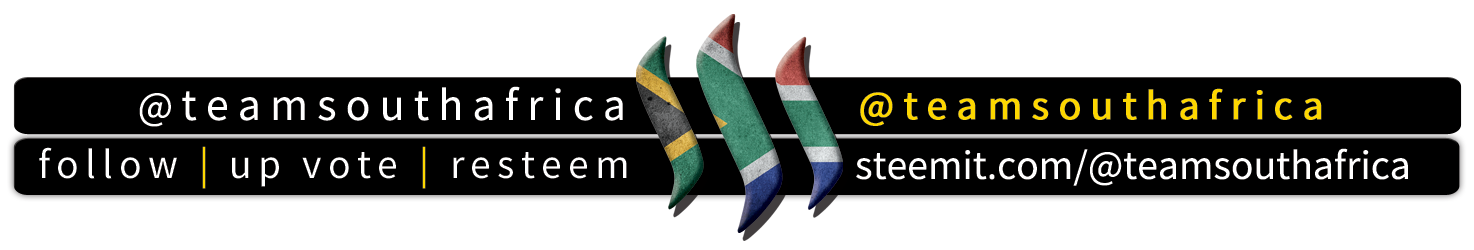 @teamsouthafrica Banner.png