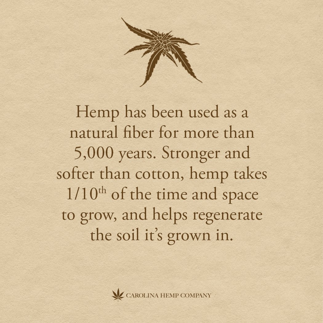 Hemp Paper 2.jpg