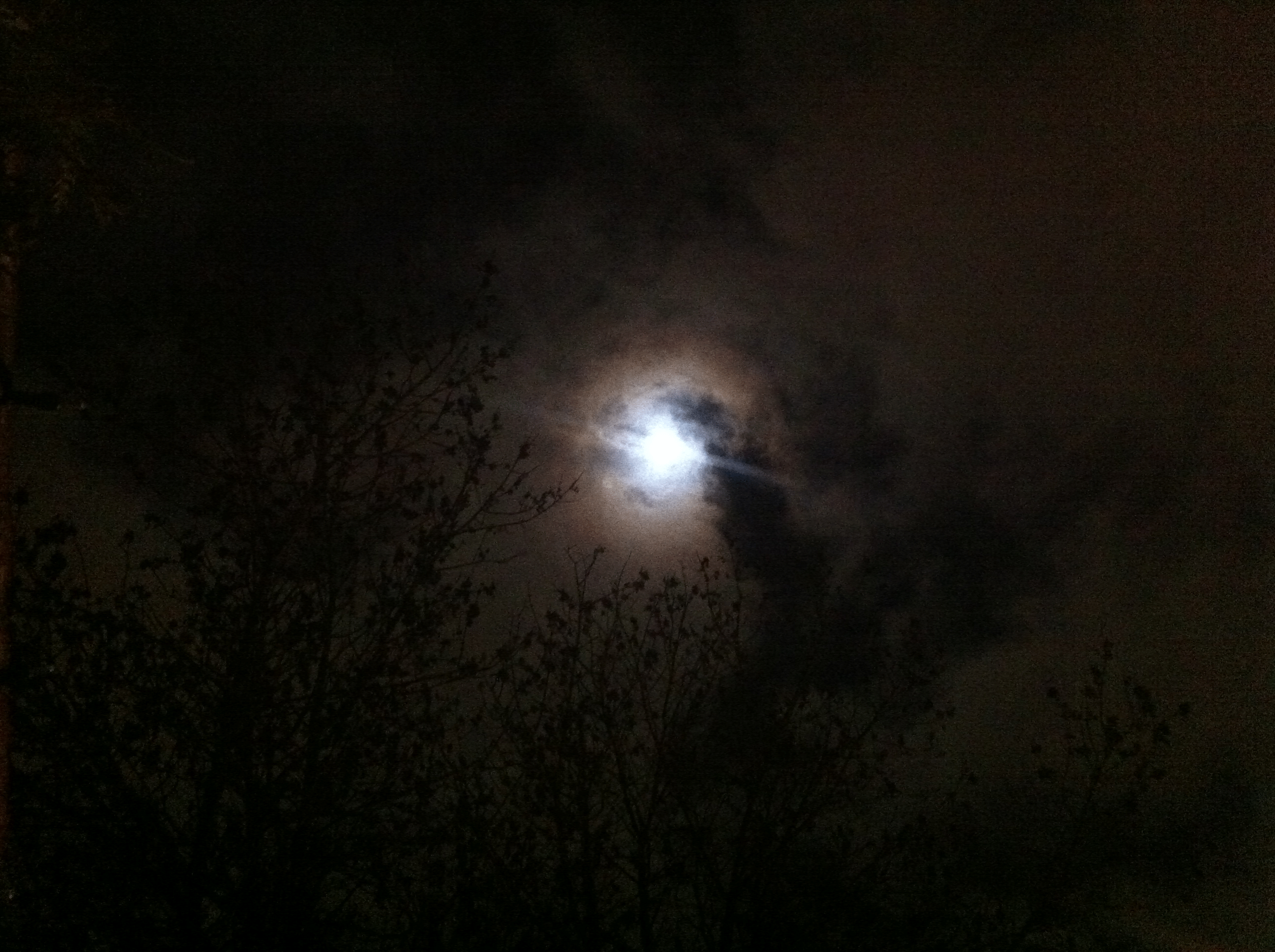 Moon---Lunar-Eclipse-Winter-Solstice--IMG_0295.gif