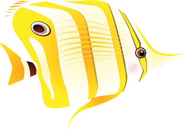 fish-1331812_640.png