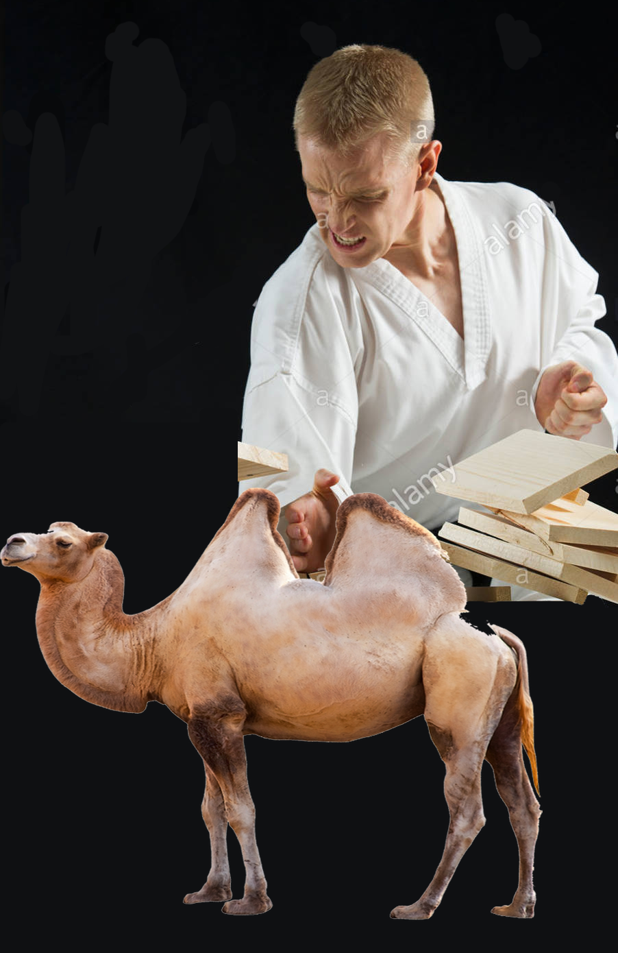 joven-romper-tablas-con-karate-chop-sobre-fondo-negro-by38rb.png