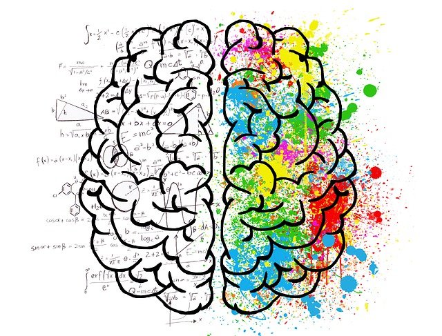 brain-2062057_640 (1).jpg
