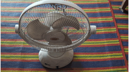 1000019251.gif