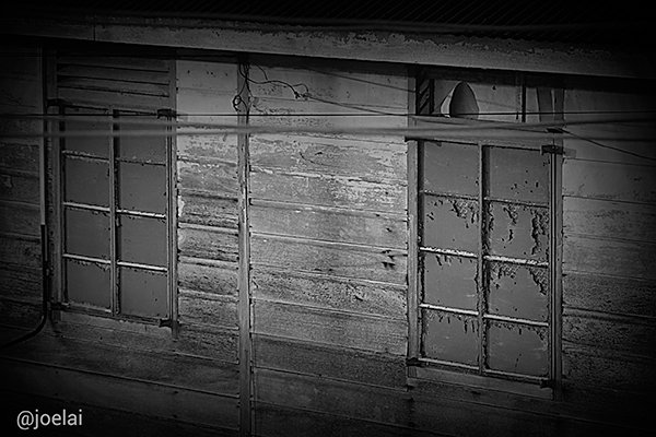 Windows B&W-S.jpg