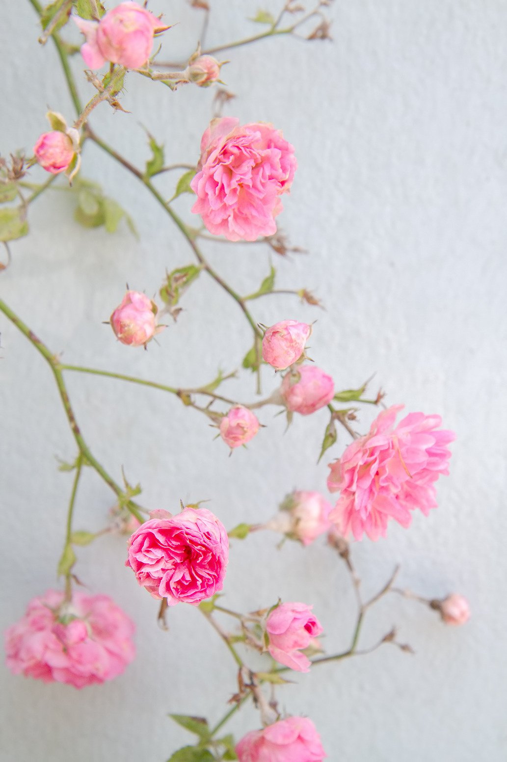 tumblr_mp9uxwVG5h1sq04mco1_1280.jpg
