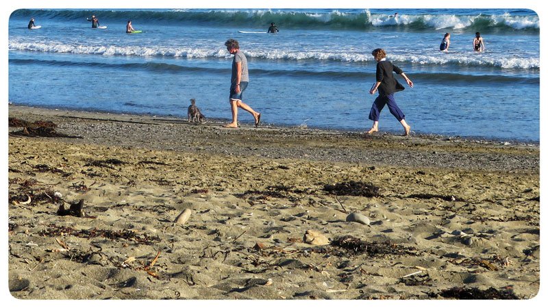 beach04.jpg
