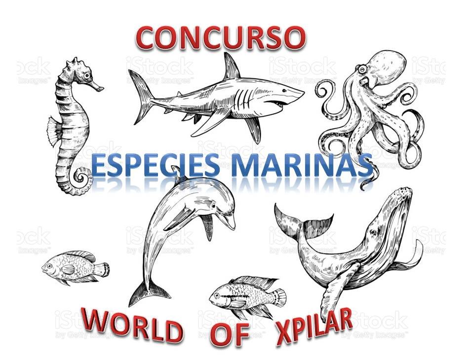 ESPECIES MARINAS.jpg