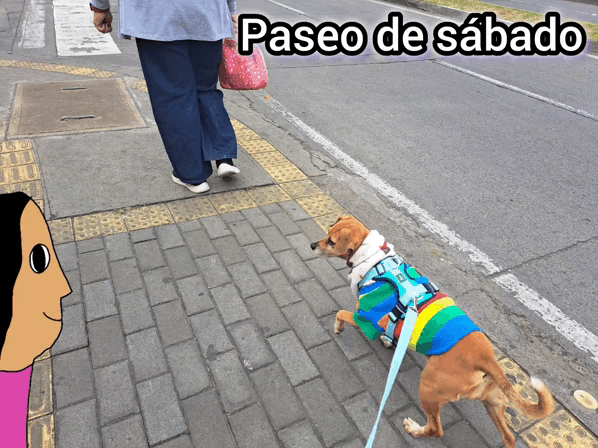 1000017627.gif
