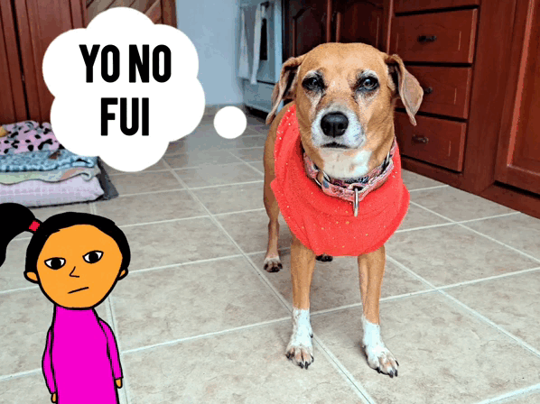 1000028929.gif