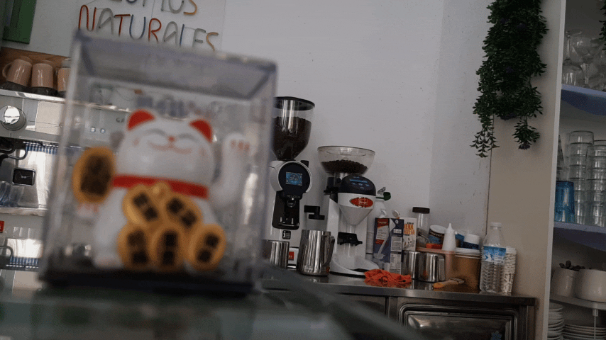 12.gif