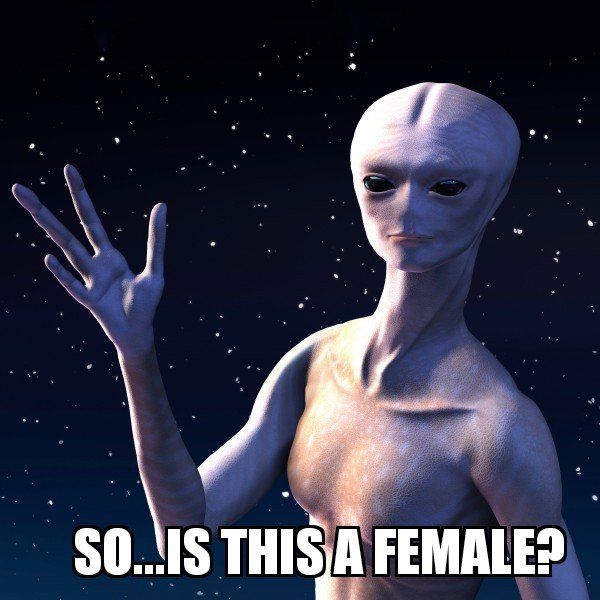 aleinhi_womanly_figure.jpg