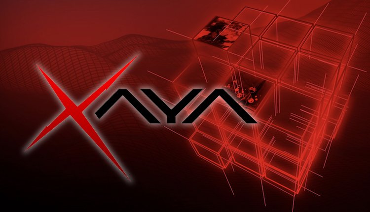 PORTADA XAYA.jpg
