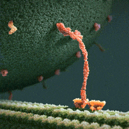 test upload GIF by GoPop.gif