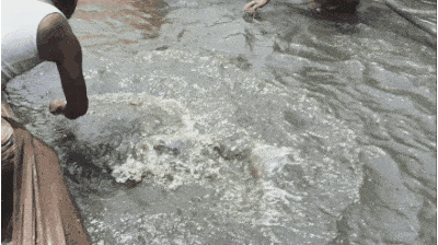 GIF_20250514_234727_135.gif