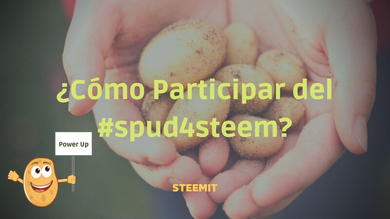 ¿Cómo Participar del #spud4steem.jpg