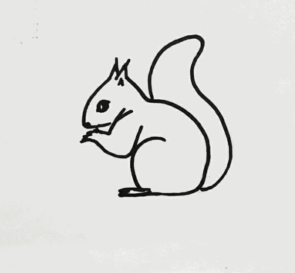 squirrel.gif