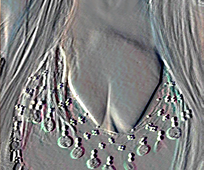 35-selfie-mold.png