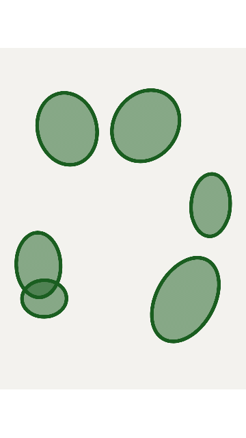 20191007_150617.gif