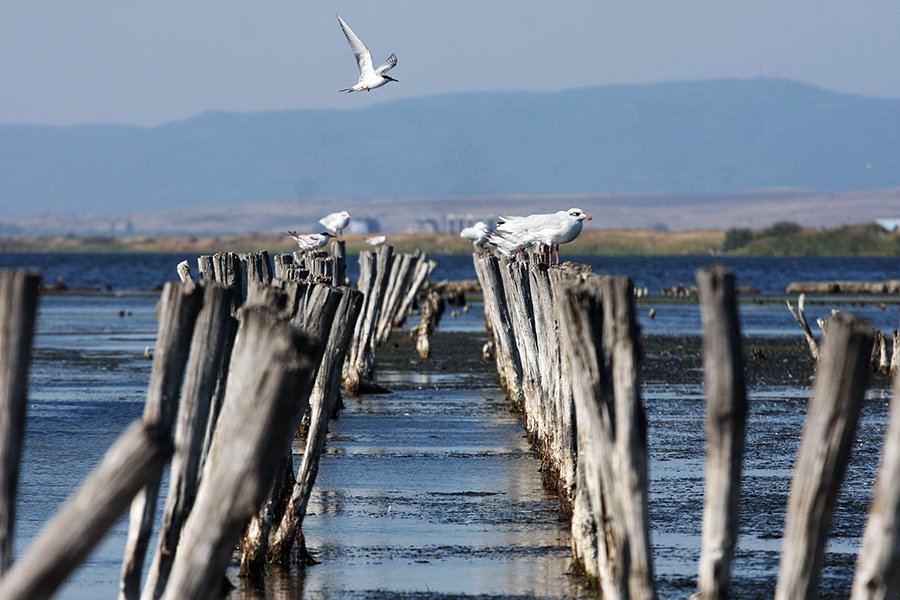 Pomorie_Seagull_Airport_ph001_s.jpg