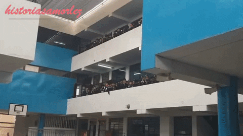 3.gif